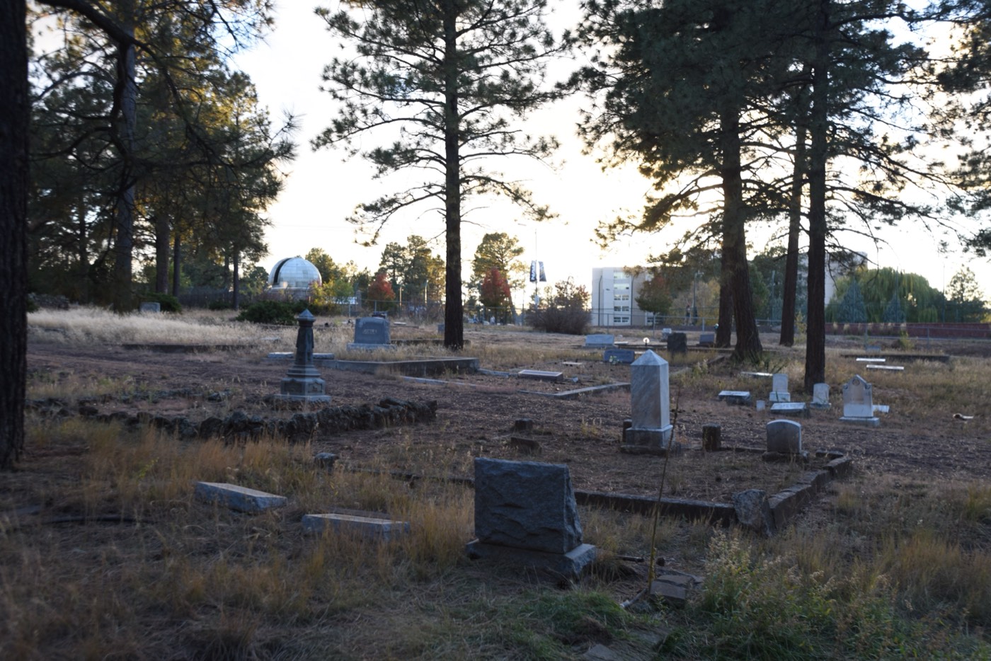 Headstones at Citizens Cemetery, Flagstaff, in soft evening light